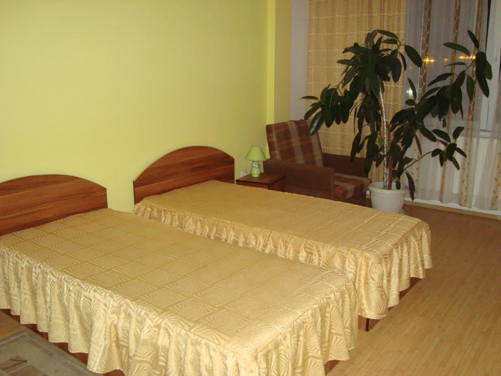 Pensiunea Neptun Guest House Alba Iulia Εξωτερικό φωτογραφία