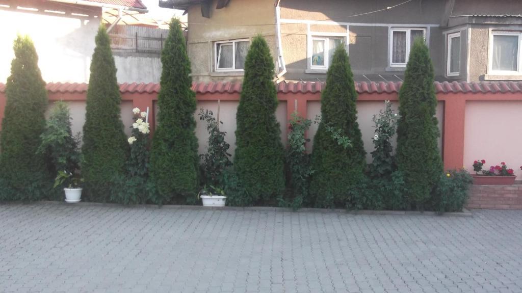 Pensiunea Neptun Guest House Alba Iulia Εξωτερικό φωτογραφία
